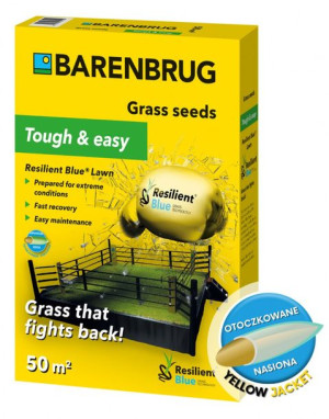 Trawa Barenbrug Na Suszę Resilient Blue Ekstremalne Warunki 2kg
