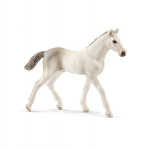 Schleich Kon Holsztynski, zrebie