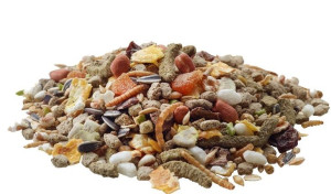 VL Rat Nature 700G Karma dla Szczura