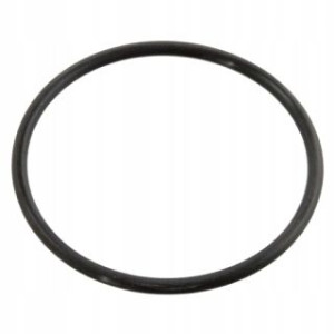 Febi Oring