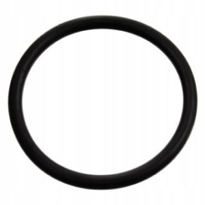 Febi Oring 17970