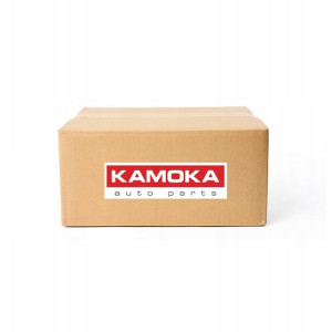 Kamoka Filtr Kabinowy Z F519401