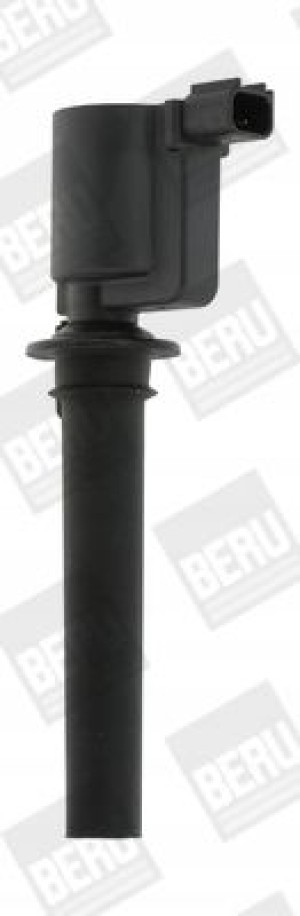 Beru Cewka Zapłonowa Zs410