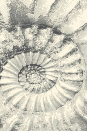 Dywan wełniany do salonu Agnella CONCH Popielaty PLATINIUM