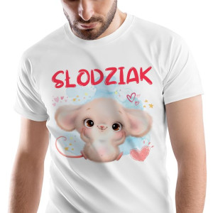 T-Shirt Męski Myszki Myszka Koszulka XXL Prezent