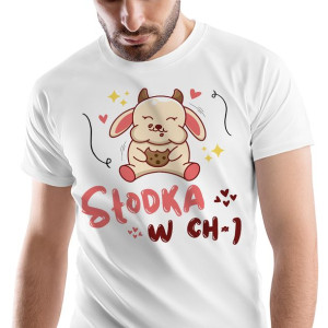 T-Shirt Męski Śmieszne Koszulka M Prezent