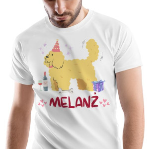 T-Shirt Męski Śmieszne Koszulka XL Prezent