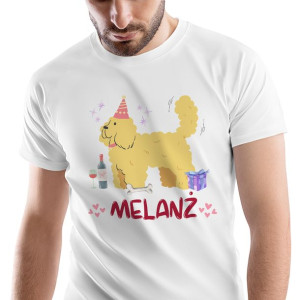 T-Shirt Męski Śmieszny Zabawny na Urodziny S