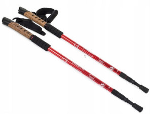 Kije Trekkingowe 3-seg Kijki Nordic Walking Korek