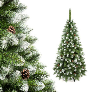 Choinka Sosna Diamentowa Perła z szyszką 250cm
