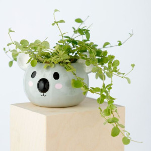 Ceramiczna doniczka do roślin duża - Koala