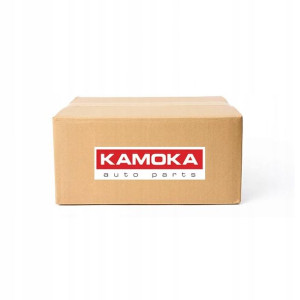 Kamoka Czujnik Temperatury Wody 4080067