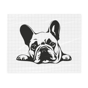 Naklejka Leżący Buldog 25 cm