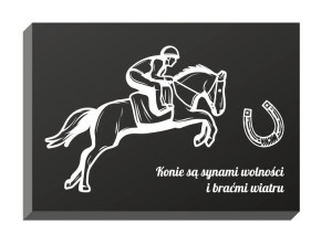 Obraz dekoracyjny ścienny metalowy KONIE SĄ SYNAMI