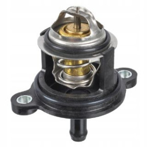 Febi Termostat Cieczy 173939
