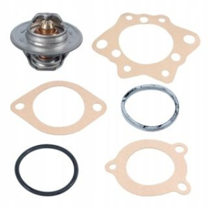 Febi Termostat 06758