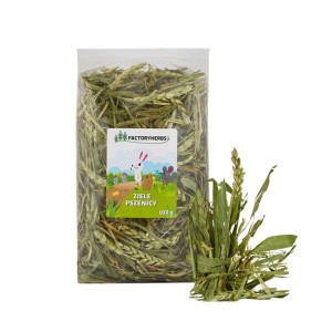 FactoryHerbs Ziele pszenicy 100g - dla królików i gryzoni