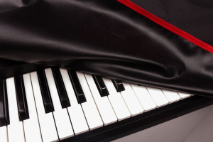 Behringer Poly D narzuta na syntezator