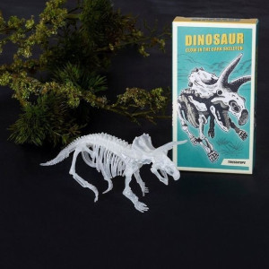 Szkielet triceratopsa do składania, Rex London