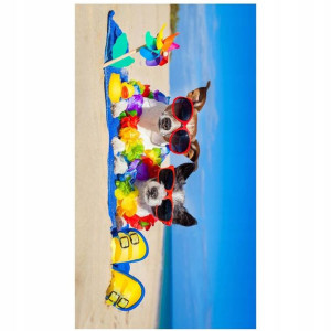 Ręcznik Plażowy 100x180 Kąpielowy Holiday 87 Duży