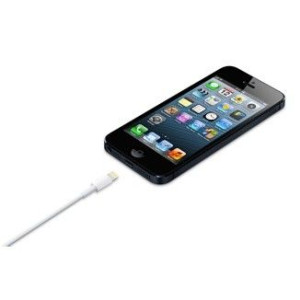 Przewód Ze Złącza Lightning Na Usb (0,5 M)