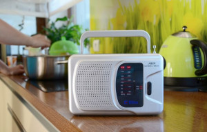 Radio Ania Srebrny