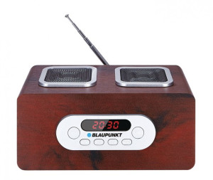 Pp5Br Przenośny Radioodtwarzacz Z Sd/Usb