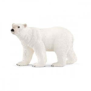Niedźwiedź Polarny