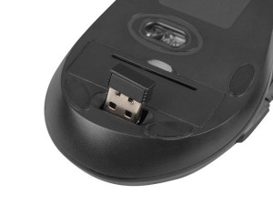 Zestaw 2 W 1 Klawiatura + Mysz Stingray Us Optyczna Bezprzewodowa