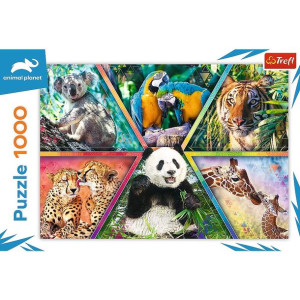 Puzzle 1000 Elementów Królestwo Zwierząt Animal Planet