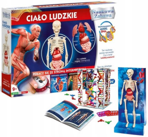 Naukowa Zabawa Ciało ludzkie 9+ Clementoni