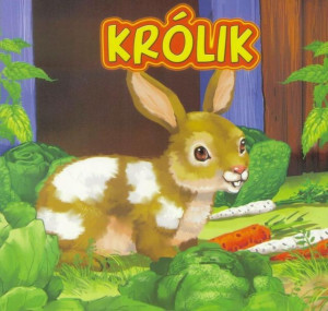 Książka dla dzieci Królik Jafi