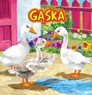 Książka dla dzieci Gąska Jafi