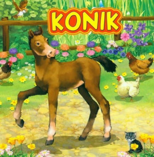 Książka dla dzieci Konik Jafi