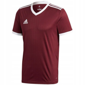 Koszulka dla dzieci adidas Tabela 18 Jersey junior bordowa CE8945