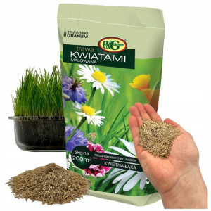 Łąka Kwietna Trawnik Kwiatowy 5 Kg Mix Miododajne