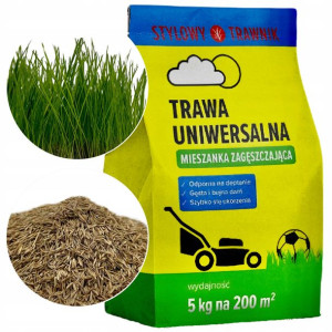 Trawa Ozdobna Dekoracyjna Nasiona Zagęszczająca
