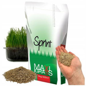 TRAWA Przeciw Chwastom Sprint Szybko Rosnąca 5kG