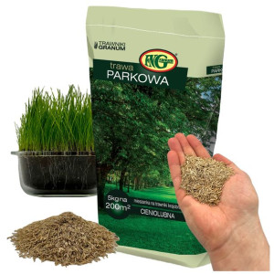 TRAWA Parkowa Cieniolubna Odporna Ogrodowa 5kg200m