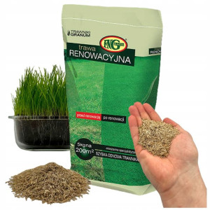TRAWA Renowacyjna Regeneracyjna do Odnawiania 5kg
