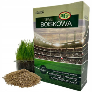 TRAWA Sportowa Odporna na Wymarzanie Na Murawę 1kg