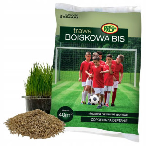 TRAWA Sportowa Odporna na Wymarzanie Na Murawę 1kg