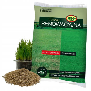 TRAWA Renowacyjna Regeneracyjna do Odnawiania 1kg