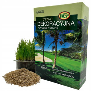 TRAWA Dekoracyjna Na Gleby Suche Niewymagająca 0,9