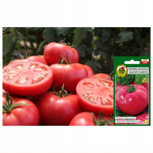 Pomidor Malinowy Gruntowy Olbrzym Aromatyczny 1g