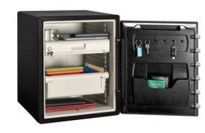 Master Lock Sejf Lfw205fyc
