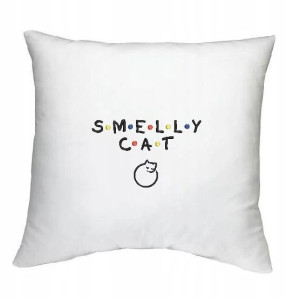 Poszewka 40x40 Smelly Cat Przyjaciele Friends