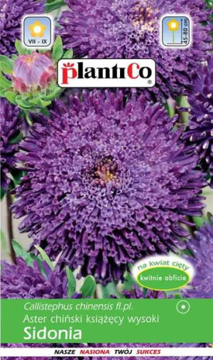 Plantico Nasiona Aster Chiński Wysoki Sidonia Fioletowy 1g