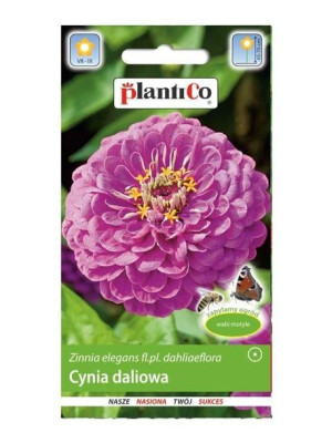 Plantico Nasiona Cynia Daliowa Lawendowa 1g