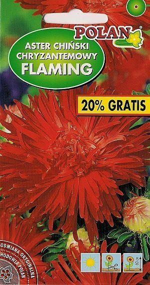 Polan Nasiona Aster Chryzantemowy Flaming Czerwony 1,2g
